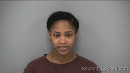 Mugshot of REAGAN NICOLE HARRIS booked in Delaware County, Ohio on April 3, 2026