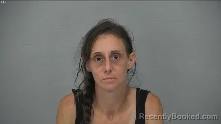 Mugshot of BRANDY JO SLONE booked in Delaware County, Ohio on June 30, 2026