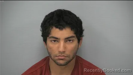 Mugshot of ALI ZARAGOZA booked in Delaware County, Ohio on July 3, 2026