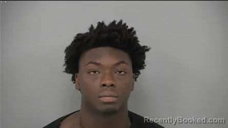 Mugshot of DERRICK AKWASI OPPONG booked in Delaware County, Ohio on July 5, 2026
