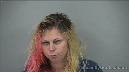 Mugshot of LILY ANNA JENDRZEJAK booked in Delaware County, Ohio on July 6, 2026