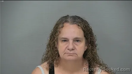 Mugshot of NICOLE LEE NELSON booked in Delaware County, Ohio on July 11, 2026