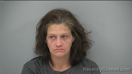 Mugshot of CRYSTAL GAIL FARLEY booked in Delaware County, Ohio on July 29, 2026