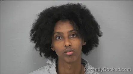 Mugshot of ABDULLAHI MOHAMUD ATTO booked in Delaware County, Ohio on July 30, 2026