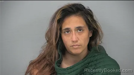 Mugshot of JULIA DESIREE RIVERS booked in Delaware County, Ohio on August 4, 2026