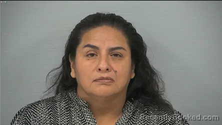 Mugshot of Veronica Nava-Sandoval booked in Delaware County, Ohio on August 24, 2026