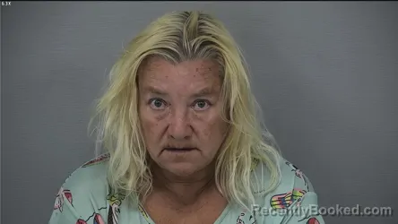 Mugshot of Laura Ann Pyne booked in Delaware County, Ohio on August 25, 2026