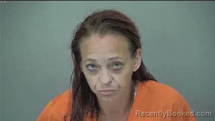 Mugshot of Crystal Nicole Roberts booked in Delaware County, Ohio on September 1, 2026