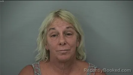 Mugshot of Saundra Kay Hill booked in Delaware County, Ohio on September 1, 2026