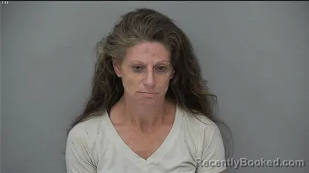 Mugshot of Lisa Michelle Coder booked in Delaware County, Ohio on September 1, 2026