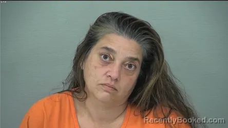 Mugshot of Lynelle Marie Santana booked in Delaware County, Ohio on September 3, 2026