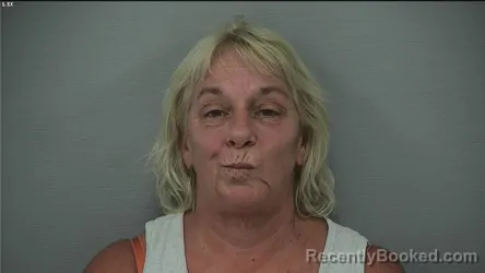 Mugshot of Saundra Kay Hill booked in Delaware County, Ohio on September 3, 2026