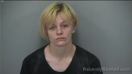 Mugshot of Heather Andrea Hawkes booked in Delaware County, Ohio on September 15, 2026