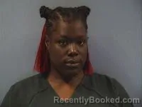 Mugshot of Danielle N North