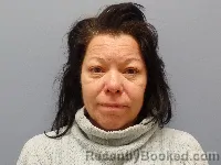 Mugshot of Nora M Wellman booked in Erie County, Ohio on July 21, 2026