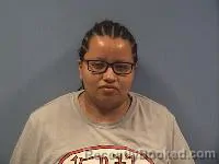 Mugshot of Luz Ariadna Ojeda-Calix booked in Erie County, Ohio on July 20, 2026