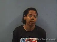 Mugshot of Nicleanjelo Sonix Young