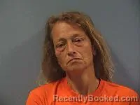 Mugshot of Rosetta Pitcher booked in Erie County, Ohio on July 9, 2026