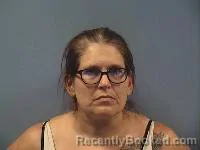 Mugshot of Stacy Heather Johnson booked in Erie County, Ohio on May 27, 2026