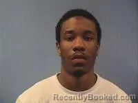 Mugshot of Treylan King