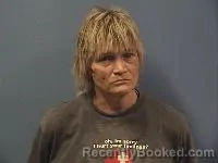 Mugshot of Lisa Davidson booked in Erie County, Ohio on April 24, 2026