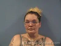 Mugshot of Kimberly Motyka booked in Erie County, Ohio on July 14, 2026