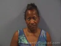 Mugshot of Vermell Mitchell booked in Erie County, Ohio on July 15, 2026