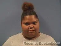 Mugshot of Nikita L Fulkerson booked in Erie County, Ohio on July 23, 2026
