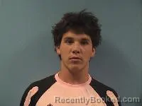 Mugshot of Brayden C Wolf booked in Erie County, Ohio on August 3, 2026