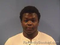 Mugshot of Tristan L Cook booked in Erie County, Ohio on August 17, 2026