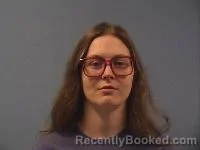 Mugshot of Kristena E Johnston booked in Erie County, Ohio on October 6, 2026