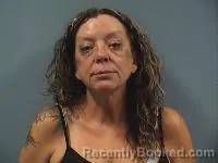 Mugshot of Michele L Lehmann booked in Erie County, Ohio on October 8, 2026