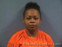 Mugshot of Danielle K Henson booked in Erie County, Ohio on July 26, 2026