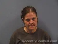 Mugshot of Erica N Krause booked in Erie County, Ohio on June 10, 2026