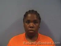 Mugshot of Jade T King booked in Erie County, Ohio on April 21, 2026