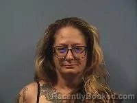 Mugshot of Shelly Nicole Wallace booked in Erie County, Ohio on July 27, 2026