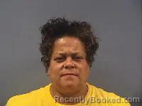 Mugshot of Erica Johnson booked in Erie County, Ohio on August 22, 2026