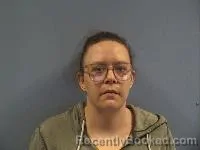 Mugshot of Alison M Kerr booked in Erie County, Ohio on May 16, 2026