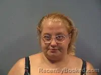 Mugshot of Sarah E Gibson booked in Erie County, Ohio on July 8, 2026