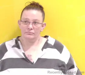 Mugshot of AMANDA SUE NIBERT booked in Fairfield County, Ohio on June 15, 2026
