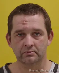 Mugshot of SCOTT STINE