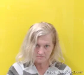 Mugshot of HAILEY NICHOLE YOUNG booked in Fairfield County, Ohio on July 6, 2026