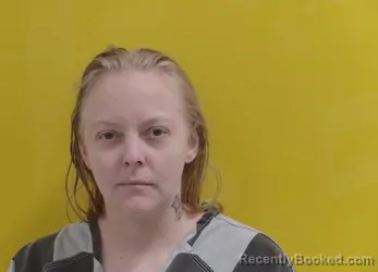 Mugshot of JESSICA RUTHANN SCHENIDER