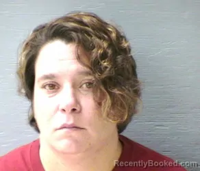 Mugshot of LINDE ERIN SHEESE booked in Fairfield County, Ohio on June 25, 2026