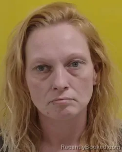 Mugshot of AMBER LEANN HUTCHISON