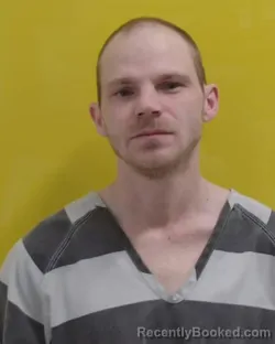 Mugshot of STEVEN ANTHONY NORRIS