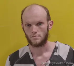 Mugshot of JAMIE R DAVIDSON booked in Fairfield County, Ohio on March 17, 2026