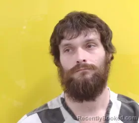 Mugshot of TYLER DAVISON WENDELL