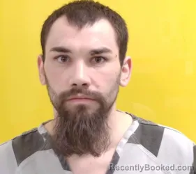 Mugshot of DILLON STEWART