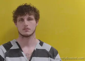 Mugshot of SKYLER JAMES FRITZ